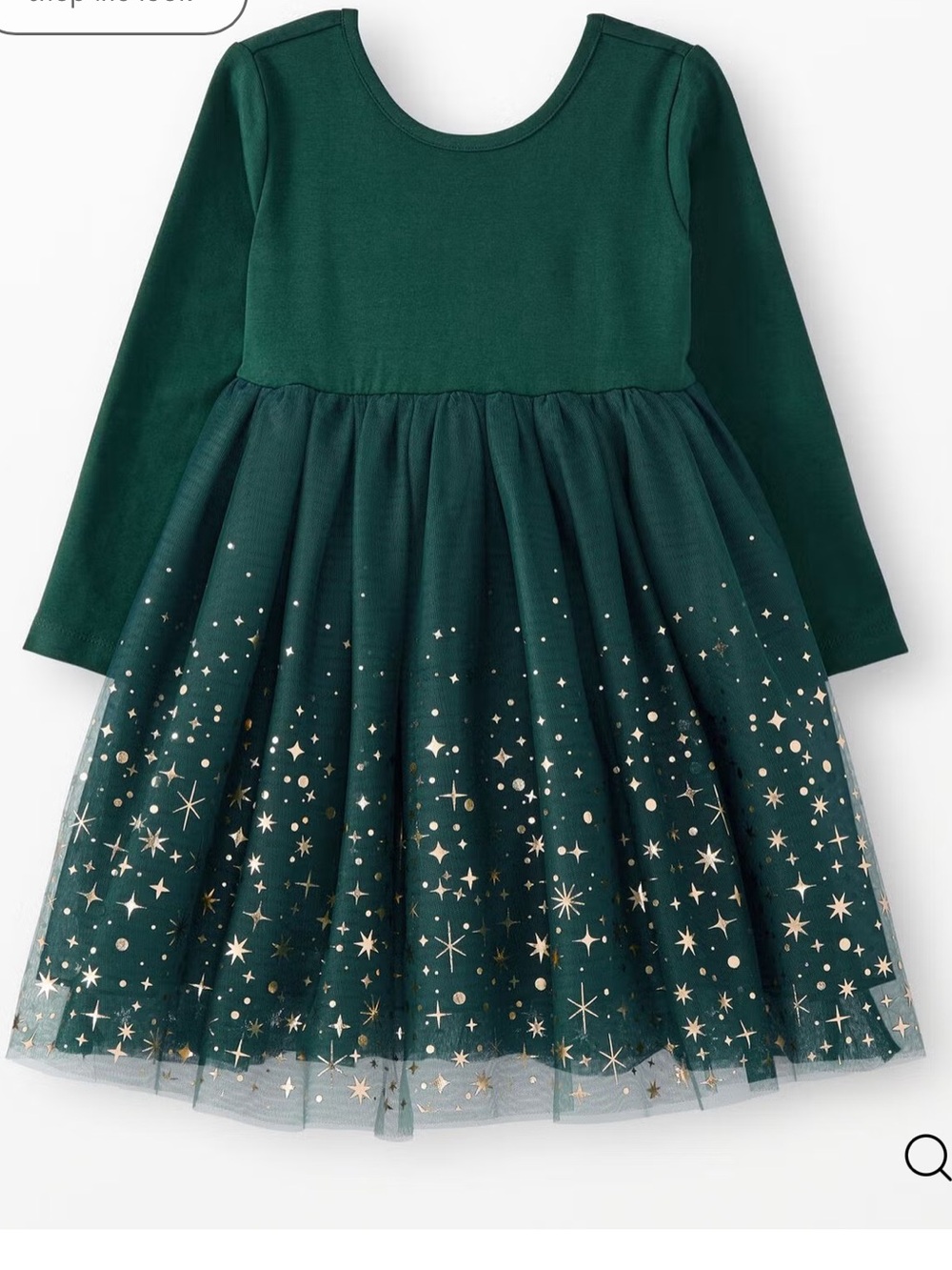 Long Sleeve Shimmer Tulle Dress - Picture 2 of 5